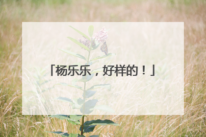 杨乐乐，好样的！