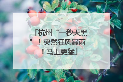 杭州“一秒天黑”！突然狂风暴雨！马上更猛