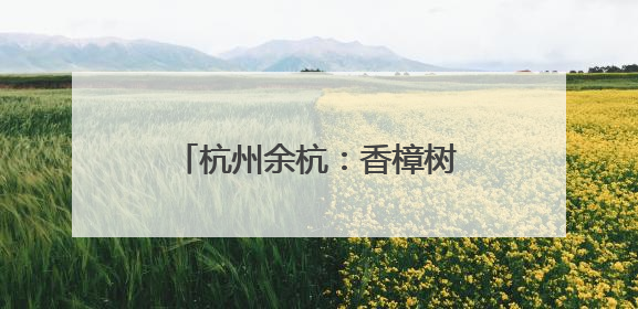 杭州余杭：香樟树下话苕溪 青年合力共建未来坝上生活