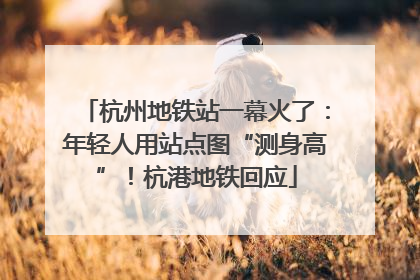 杭州地铁站一幕火了：年轻人用站点图“测身高”！杭港地铁回应