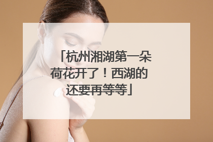 杭州湘湖第一朵荷花开了！西湖的还要再等等