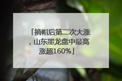 摘帽后第二次大涨，山东墨龙盘中最高涨超160%