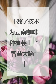 数字技术为云南咖啡种植装上“智慧大脑”