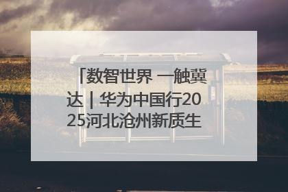 数智世界 一触冀达｜华为中国行2025河北沧州新质生产力峰会成功举办