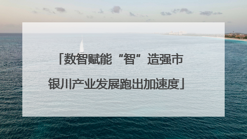 数智赋能“智”造强市 银川产业发展跑出加速度