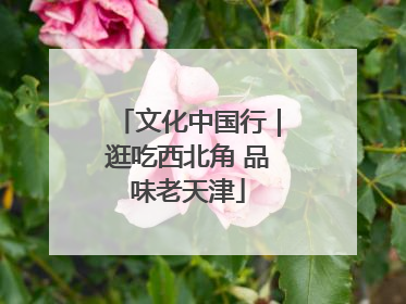 文化中国行｜逛吃西北角 品味老天津