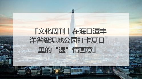 文化周刊丨在海口潭丰洋省级湿地公园打卡夏日里的“湿”情画意