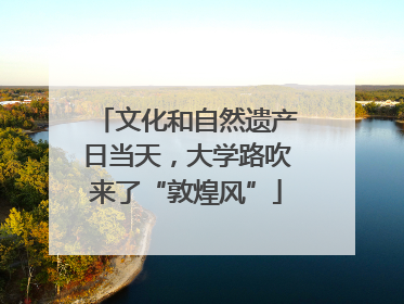 文化和自然遗产日当天，大学路吹来了“敦煌风”