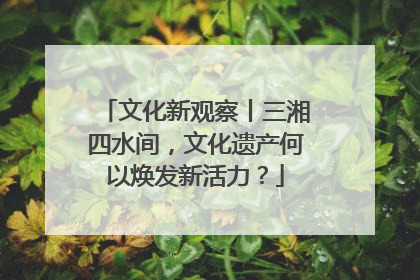 文化新观察丨三湘四水间，文化遗产何以焕发新活力？