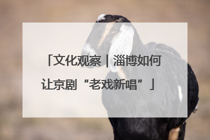 文化观察｜淄博如何让京剧“老戏新唱”
