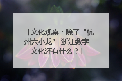 文化观察：除了“杭州六小龙” 浙江数字文化还有什么？