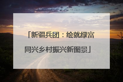 新疆兵团：绘就绿富同兴乡村振兴新图景