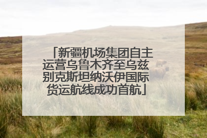 新疆机场集团自主运营乌鲁木齐至乌兹别克斯坦纳沃伊国际货运航线成功首航