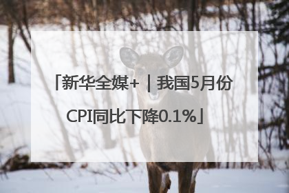 新华全媒+｜我国5月份CPI同比下降0.1%