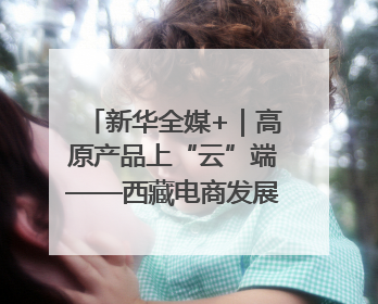 新华全媒+｜高原产品上“云”端——西藏电商发展一线观察