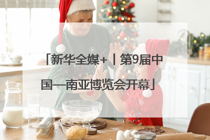 新华全媒+丨第9届中国—南亚博览会开幕