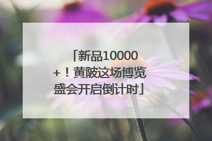 新品10000+！黄陂这场博览盛会开启倒计时