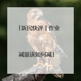 新民快评丨作业减量该如何减