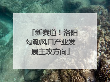 新赛道！洛阳勾勒风口产业发展主攻方向