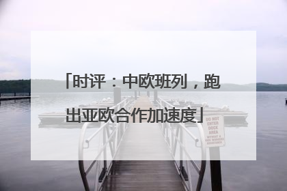 时评：中欧班列，跑出亚欧合作加速度