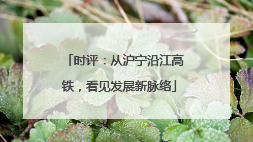 时评：从沪宁沿江高铁，看见发展新脉络