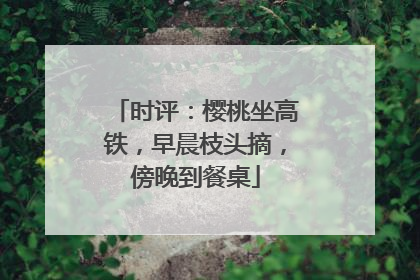 时评：樱桃坐高铁，早晨枝头摘，傍晚到餐桌