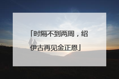 时隔不到两周，绍伊古再见金正恩