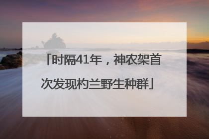 时隔41年，神农架首次发现杓兰野生种群
