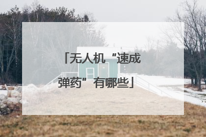 无人机“速成弹药”有哪些