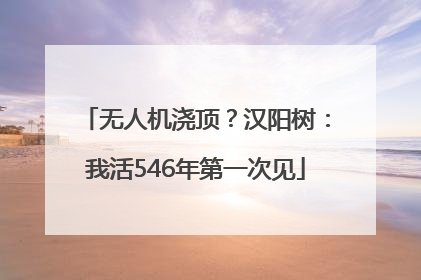 无人机浇顶？汉阳树：我活546年第一次见
