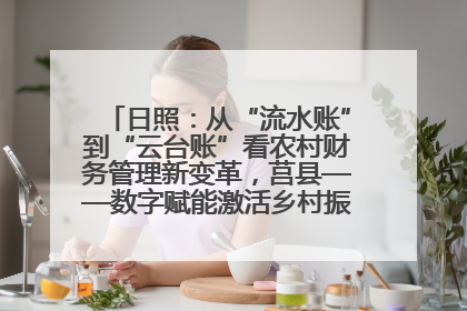日照：从“流水账”到“云台账”看农村财务管理新变革，莒县——数字赋能激活乡村振兴“一池春水”