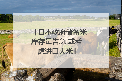 日本政府储备米库存量告急 或考虑进口大米
