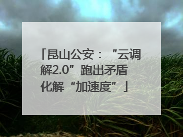 昆山公安：“云调解2.0”跑出矛盾化解“加速度”
