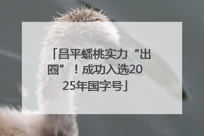 昌平蟠桃实力“出圈”！成功入选2025年国字号