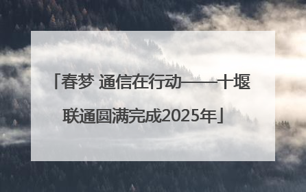 春梦 通信在行动——十堰联通圆满完成2025年