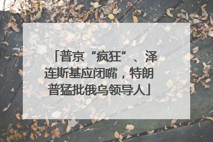 普京“疯狂”、泽连斯基应闭嘴，特朗普猛批俄乌领导人