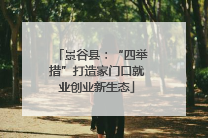 景谷县：“四举措”打造家门口就业创业新生态