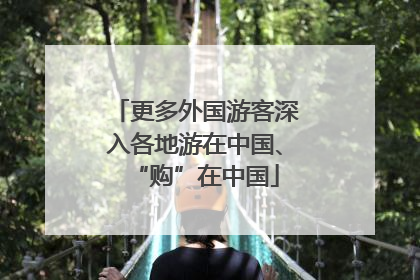 更多外国游客深入各地游在中国、“购”在中国