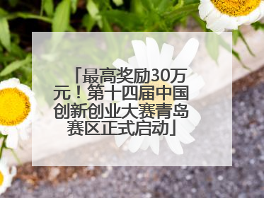 最高奖励30万元！第十四届中国创新创业大赛青岛赛区正式启动