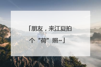朋友，来江夏拍个“荷”照~
