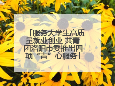 服务大学生高质量就业创业 共青团洛阳市委推出四项“青”心服务