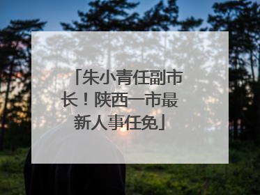 朱小青任副市长！陕西一市最新人事任免