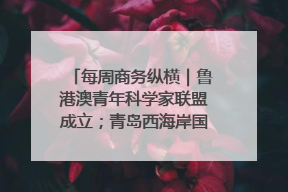 每周商务纵横｜鲁港澳青年科学家联盟成立；青岛西海岸国际能源自贸港启用