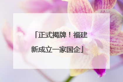 正式揭牌！福建新成立一家国企