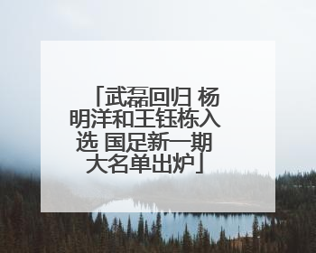 武磊回归 杨明洋和王钰栋入选 国足新一期大名单出炉