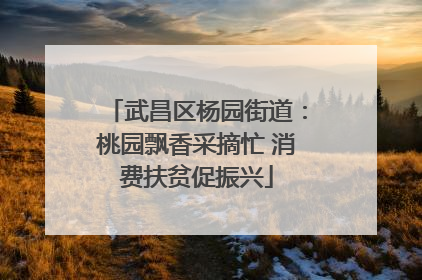 武昌区杨园街道：桃园飘香采摘忙 消费扶贫促振兴