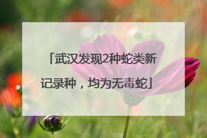 武汉发现2种蛇类新记录种，均为无毒蛇
