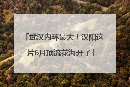 武汉内环最大！汉阳这片6月顶流花海开了
