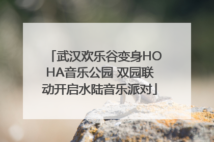 武汉欢乐谷变身HOHA音乐公园 双园联动开启水陆音乐派对