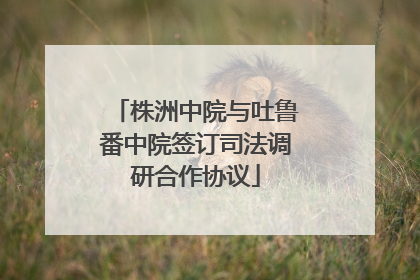 株洲中院与吐鲁番中院签订司法调研合作协议